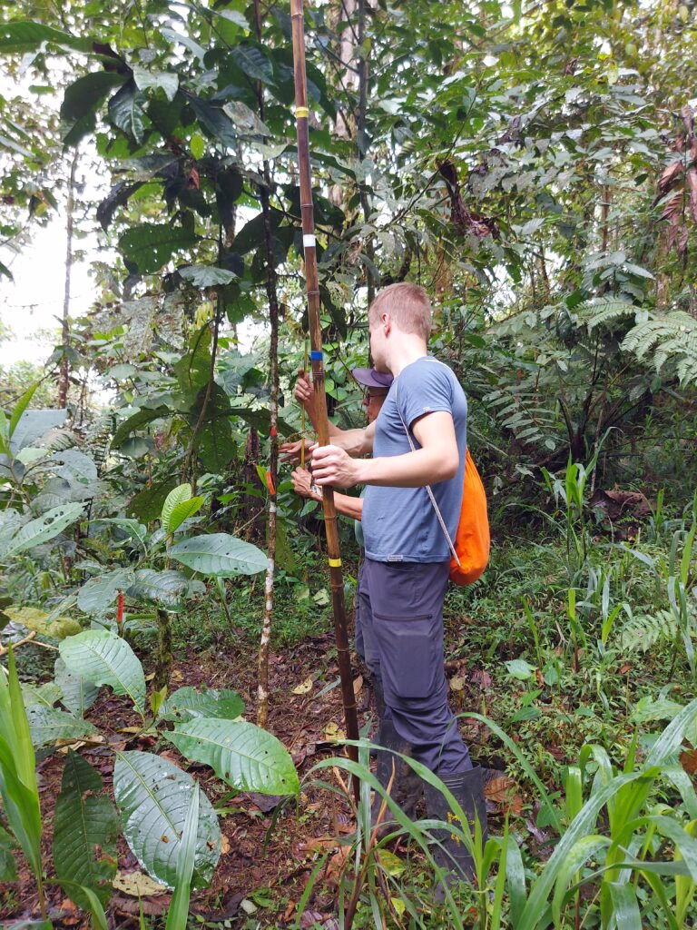 Zwei Männer sind in Arbeitskleidung mit Gummistiefeln und messen Bäume aus. 