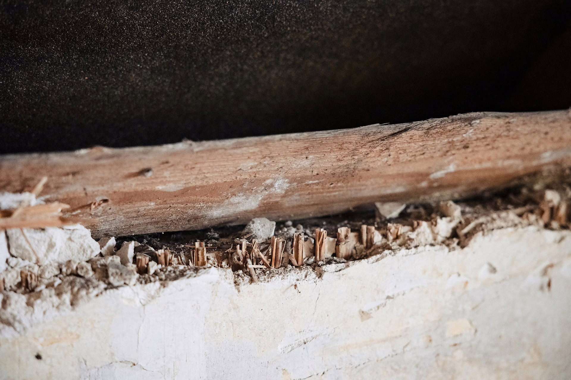 Aufnahme der Dämmung. Es wurde bereits in der Vergangeheit Schilf als Dämmmaterial benutzt.