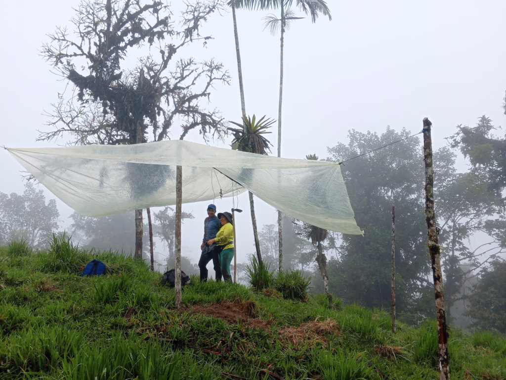 Zwei Arbeiter*innen des Aufforstungsteam Ecuadors stehen unter einer Plane der Sie vorm Regen schützt.