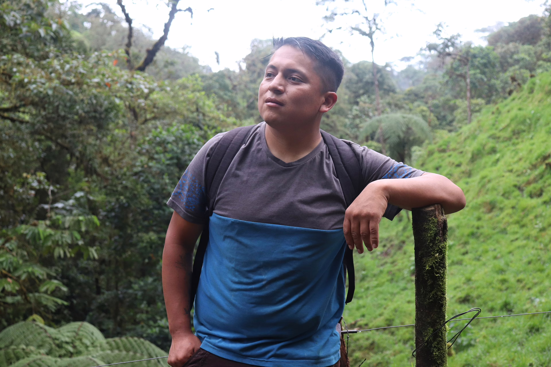 Nico ist auf einen Ast gelehnt im Wald und schaut in die Ferne.