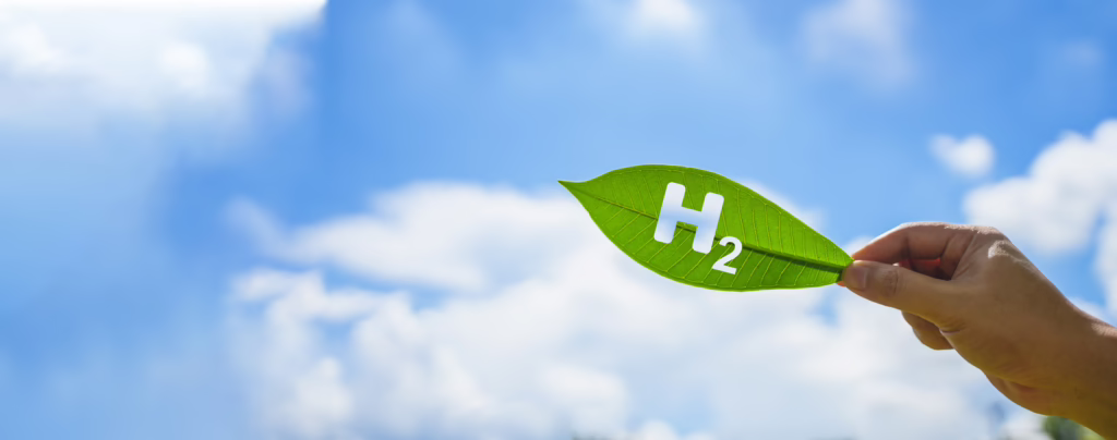 Das Bild zeigt eine Hand die ein grünes Blatt hält in das H2 gestanzt wurde.